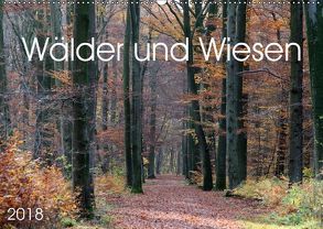 Wälder und Wiesen (Wandkalender 2018 DIN A2 quer) von SchnelleWelten