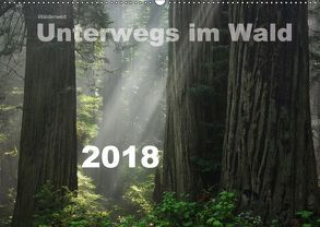 Wälderweit – Unterwegs im Wald I (Wandkalender 2018 DIN A2 quer) von Bauffold,  Christian