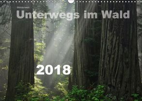 Wälderweit – Unterwegs im Wald I (Wandkalender 2018 DIN A3 quer) von Bauffold,  Christian