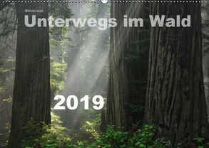Wälderweit – Unterwegs im Wald I (Wandkalender 2019 DIN A2 quer) von Bauffold,  Christian