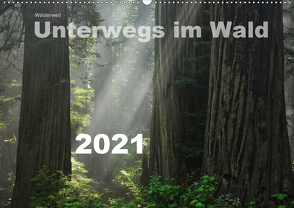 Wälderweit – Unterwegs im Wald I (Wandkalender 2021 DIN A2 quer) von Bauffold,  Christian
