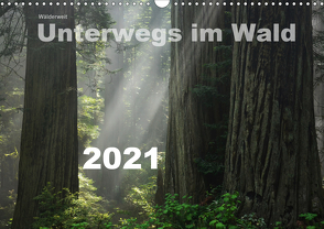 Wälderweit – Unterwegs im Wald I (Wandkalender 2021 DIN A3 quer) von Bauffold,  Christian