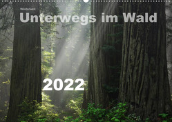 Wälderweit – Unterwegs im Wald I (Wandkalender 2022 DIN A2 quer) von Bauffold,  Christian