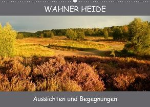 Wahner Heide – Aussichten und Begegnungen (Wandkalender 2018 DIN A2 quer) von Becker,  Bernd