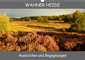 Wahner Heide – Aussichten und Begegnungen (Wandkalender 2021 DIN A3 quer) von Becker,  Bernd