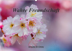 Wahre Freundschaft (Wandkalender 2023 DIN A2 quer) von Di Chito,  Ursula