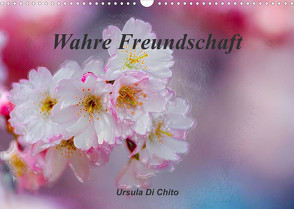 Wahre Freundschaft (Wandkalender 2023 DIN A3 quer) von Di Chito,  Ursula