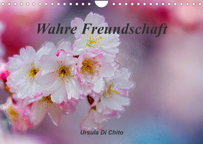 Wahre Freundschaft (Wandkalender 2023 DIN A4 quer) von Di Chito,  Ursula
