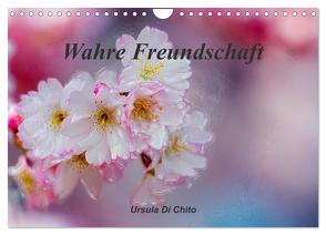 Wahre Freundschaft (Wandkalender 2024 DIN A4 quer), CALVENDO Monatskalender von Di Chito,  Ursula