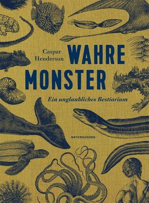 Wahre Monster von Altmann,  Pauline, Fastner,  Daniel, Henderson,  Caspar, Schalansky,  Judith