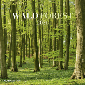 Wald 2021 – Broschürenkalender 30×30 cm (30×60 geöffnet) – Forest – Bild-Kalender – Wandplaner – mit Platz für Notizen – Alpha Edition