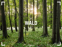 Wald – Ackermann Gallery Kalender 2023