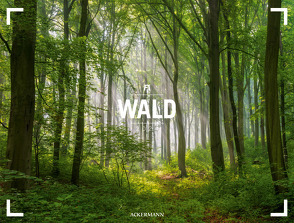 Wald – Ackermann Gallery Kalender 2024
