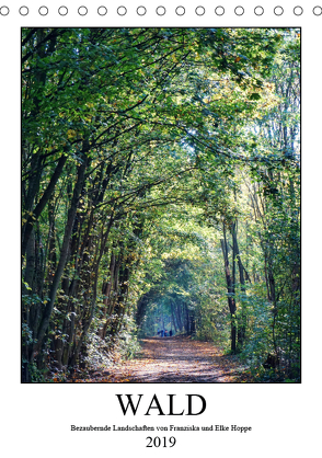 Wald – bezaubernde Landschaften (Tischkalender 2019 DIN A5 hoch) von Hoppe,  Elke, Hoppe,  Franziska