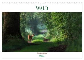 WALD Erholung pur (Wandkalender 2024 DIN A3 quer), CALVENDO Monatskalender von Michel,  Susan