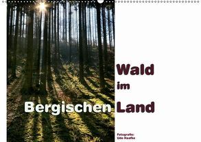 Wald im Bergischen Land 2018 (Wandkalender 2018 DIN A2 quer) von Haafke,  Udo