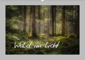 Wald im Licht (Wandkalender 2020 DIN A2 quer) von Wunderlich,  Simone