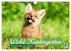 Wald-Kindergarten: Tierkinder im Wald (Wandkalender 2024 DIN A4 quer), CALVENDO Monatskalender von CALVENDO,  CALVENDO