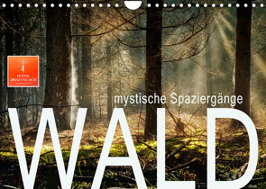 Wald – mystische Spaziergänge (Wandkalender 2022 DIN A4 quer) von Roder,  Peter