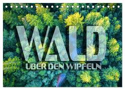 Wald – über den Wipfeln (Tischkalender 2024 DIN A5 quer), CALVENDO Monatskalender von Bleicher,  Renate