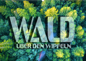 Wald – über den Wipfeln (Wandkalender 2021 DIN A2 quer) von Bleicher,  Renate