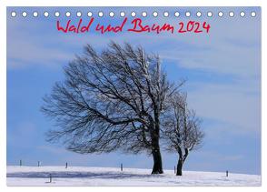 Wald und Baum 2024 (Tischkalender 2024 DIN A5 quer), CALVENDO Monatskalender von Geduldig,  Bildagentur