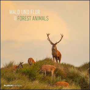 Wald und Flur 2023 – Broschürenkalender 30×30 cm (30×60 geöffnet) – Kalender mit Platz für Notizen – Forest Animals – Bildkalender – Wandkalender