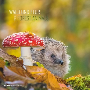 Wald und Flur 2024 – Broschürenkalender 30×30 cm (30×60 geöffnet) – Kalender mit Platz für Notizen – Forest Animals – Bildkalender – Wandkalender
