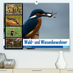 Wald- und Wiesenbewohner in Bayern 2021 (Premium, hochwertiger DIN A2 Wandkalender 2021, Kunstdruck in Hochglanz) von Erlwein,  Winfried