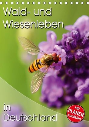 Wald- und Wiesenleben in Deutschland (Tischkalender 2018 DIN A5 hoch) von Mosert,  Stefan