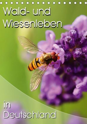 Wald- und Wiesenleben in Deutschland (Tischkalender 2019 DIN A5 hoch) von Mosert,  Stefan