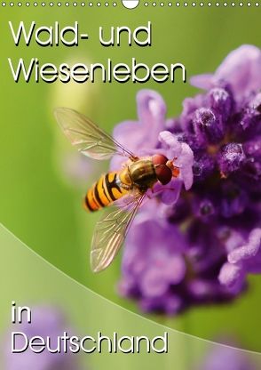 Wald- und Wiesenleben in Deutschland (Wandkalender 2018 DIN A3 hoch) von Mosert,  Stefan