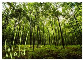 Wald (Wandkalender 2024 DIN A2 quer), CALVENDO Monatskalender von Gimpel,  Frauke