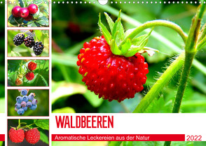 Waldbeeren. Aromatische Leckereien aus der Natur (Wandkalender 2022 DIN A3 quer) von Hurley,  Rose