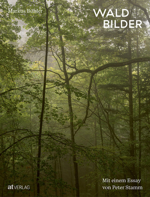 Waldbilder von Bühler,  Markus