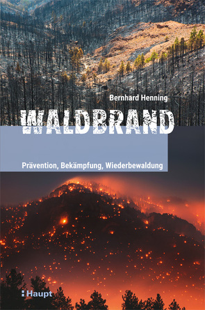 Waldbrand von Henning,  Bernhard