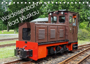 Waldeisenbahn Bad Muskau (Tischkalender 2023 DIN A5 quer) von Valley,  Joy