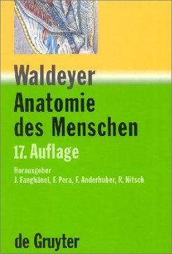 Waldeyer – Anatomie des Menschen von Anderhuber,  Friedrich, Fanghänel,  Jochen, Nitsch,  Robert, Pera,  Franz, Waldeyer,  Anton Johannes