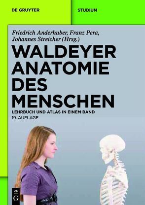 Waldeyer – Anatomie des Menschen von Anderhuber,  Friedrich, Pera,  Franz, Streicher,  Johannes, Waldeyer,  Anton
