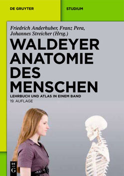 Waldeyer – Anatomie des Menschen von Anderhuber,  Friedrich, Pera,  Franz, Streicher,  Johannes, Waldeyer,  Anton