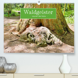 Waldgeister – Launen der Natur (Premium, hochwertiger DIN A2 Wandkalender 2023, Kunstdruck in Hochglanz) von Keller,  Angelika