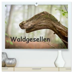 Waldgesellen – entdecke die Vielfalt (hochwertiger Premium Wandkalender 2024 DIN A2 quer), Kunstdruck in Hochglanz von Losekann,  Holger