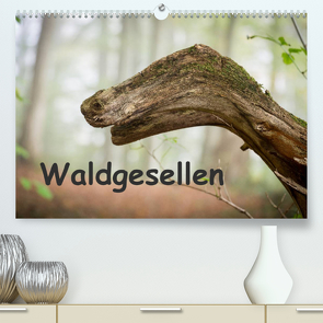 Waldgesellen – entdecke die Vielfalt (Premium, hochwertiger DIN A2 Wandkalender 2023, Kunstdruck in Hochglanz) von Losekann,  Holger