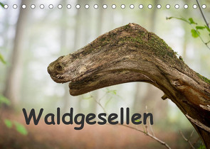 Waldgesellen – entdecke die Vielfalt (Tischkalender 2022 DIN A5 quer) von Losekann,  Holger