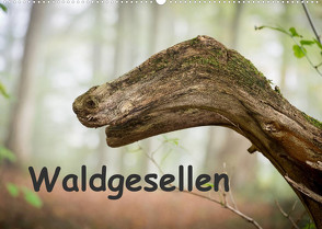 Waldgesellen – entdecke die Vielfalt (Wandkalender 2023 DIN A2 quer) von Losekann,  Holger