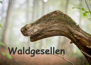 Waldgesellen – entdecke die Vielfalt (Wandkalender 2023 DIN A3 quer) von Losekann,  Holger