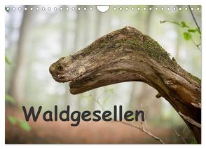 Waldgesellen – entdecke die Vielfalt (Wandkalender 2024 DIN A4 quer), CALVENDO Monatskalender von Losekann,  Holger