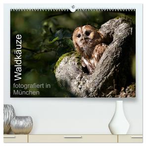 Waldkäuze, fotografiert in München (hochwertiger Premium Wandkalender 2024 DIN A2 quer), Kunstdruck in Hochglanz von Buchmann,  www.klaus-buchmann.de,  Klaus