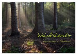 Waldkalender (Wandkalender 2024 DIN A2 quer), CALVENDO Monatskalender von Zitzler,  Hans
