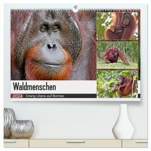 Waldmenschen – Orang Utans auf Borneo (hochwertiger Premium Wandkalender 2024 DIN A2 quer), Kunstdruck in Hochglanz von Herzog,  Michael